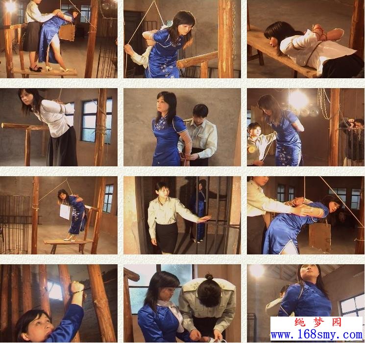 D033��������54װ��Ь������