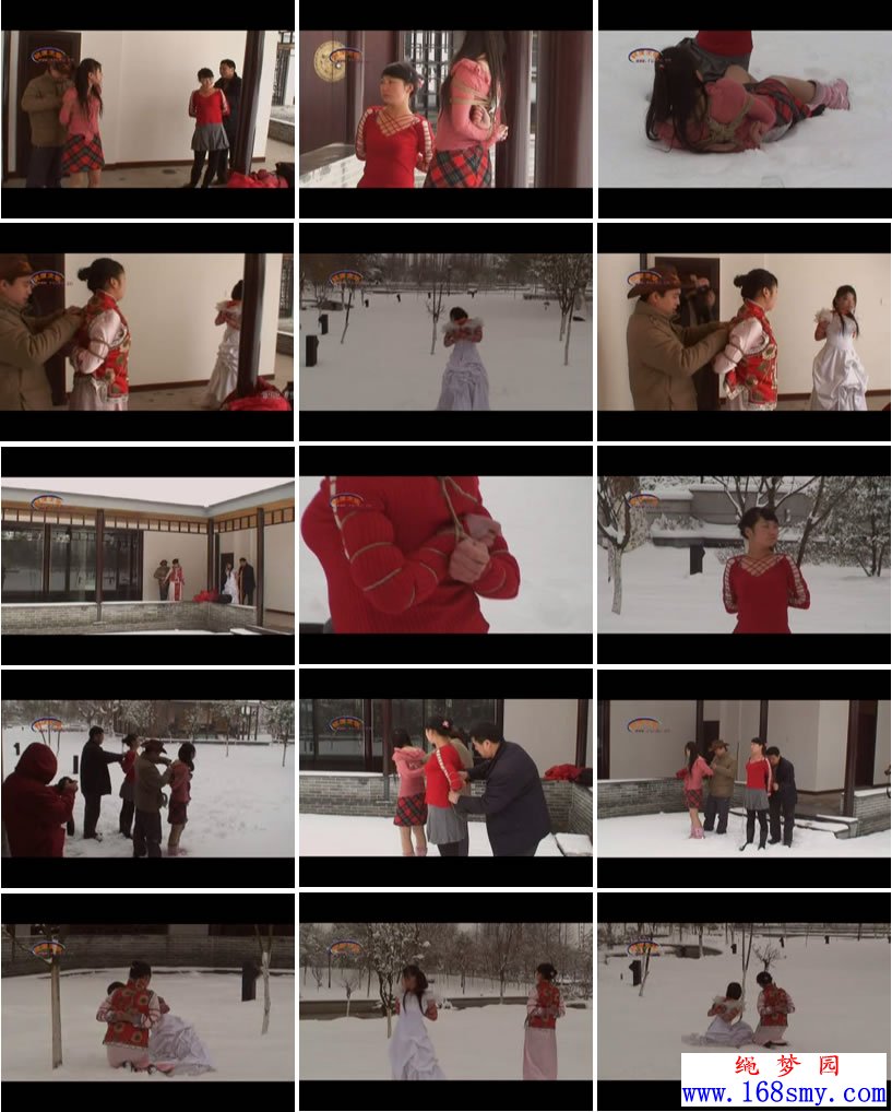 ������԰ѩ��