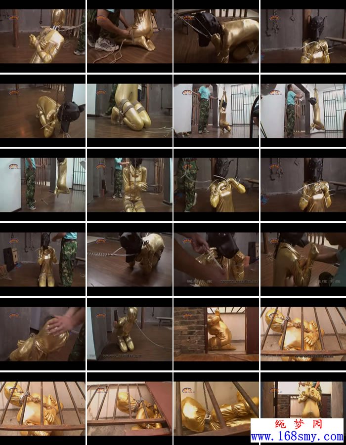 ���½���������