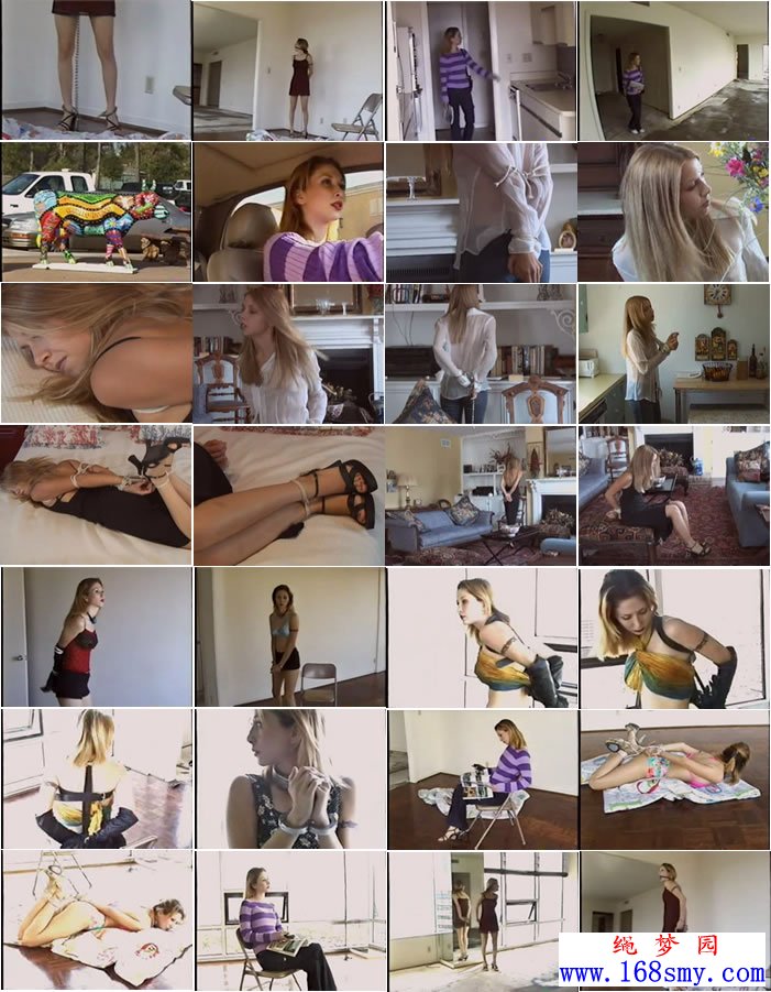 ŷ��SM����ϵ��3