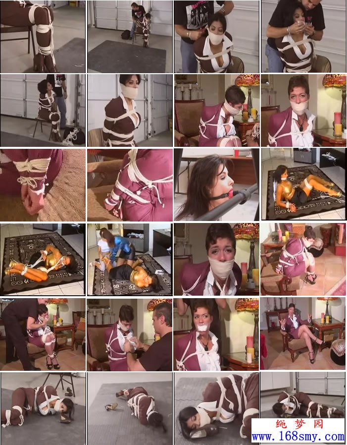 ŷ�����������