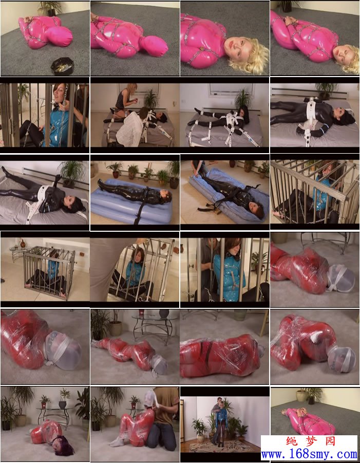 ����ϵ��2