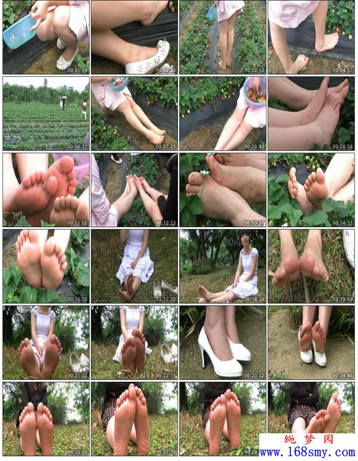 �ƷƲ�ݮ԰��֮��