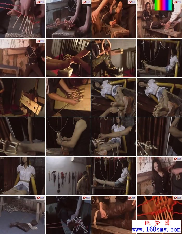 �ϻ�������ר��