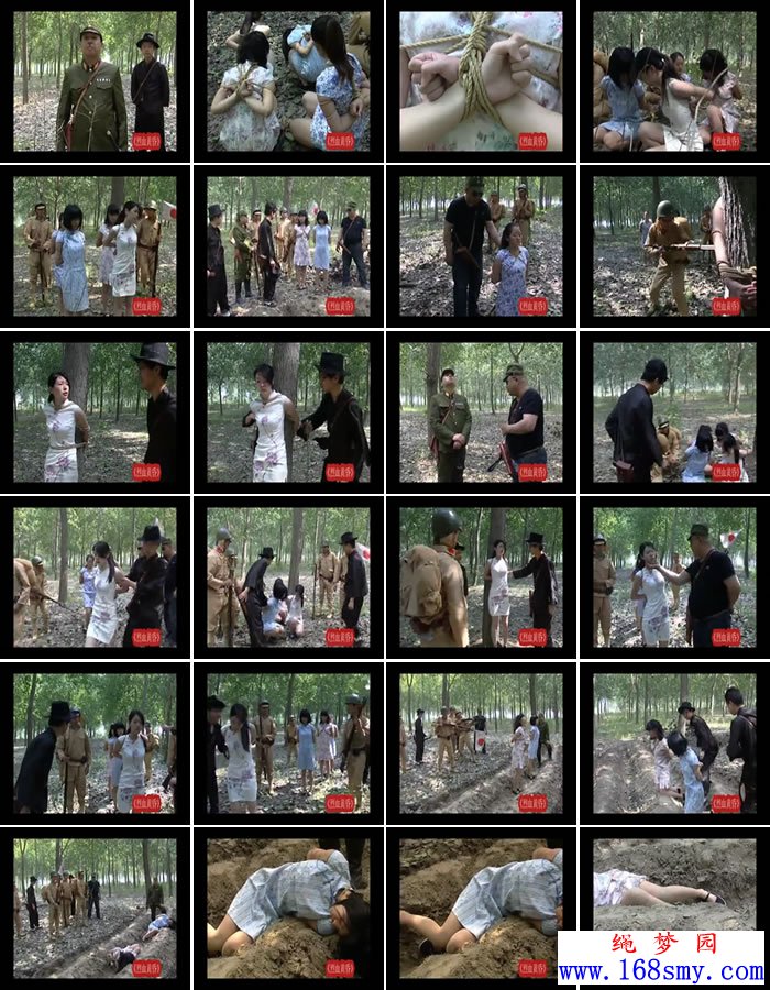 ��Ѫ�ƻ衾����