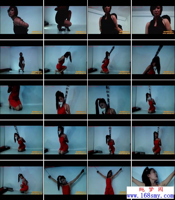 ���׸�+����-�ſ�