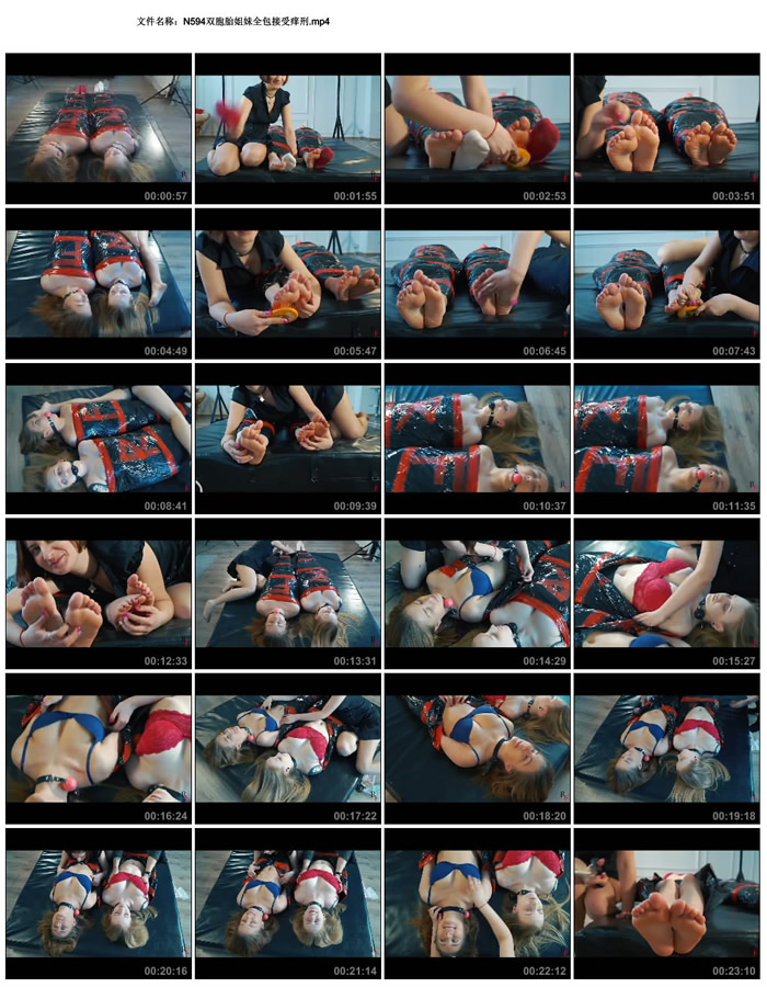 ˫��̥����ȫ����������