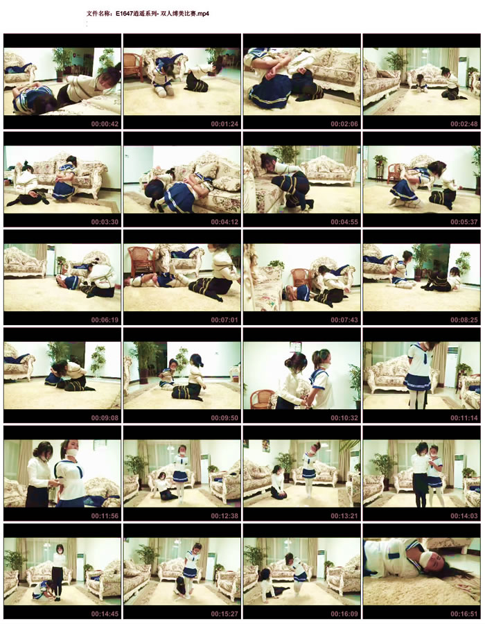 ��ңϵ��- ˫�˸�������