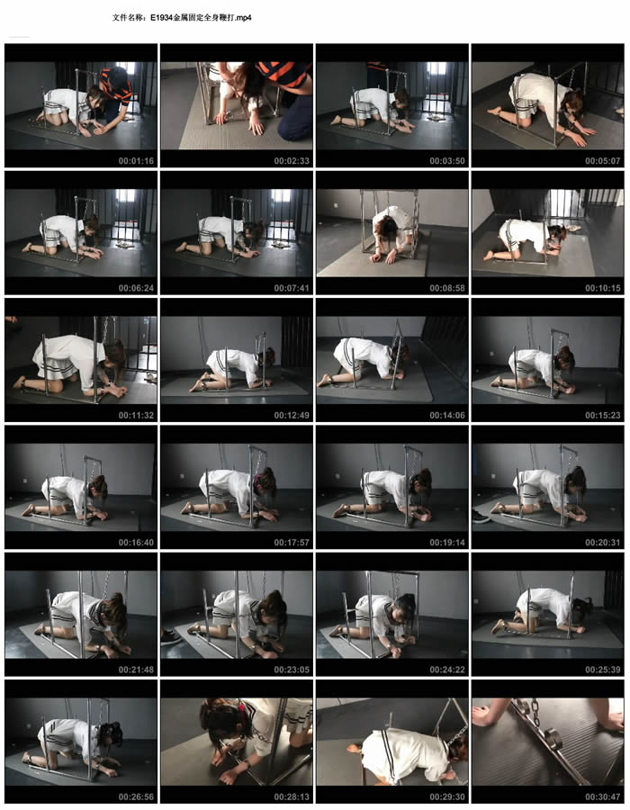 �����̶�ȫ���޴�