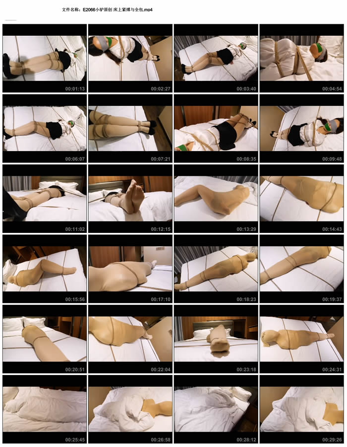 С¿ԭ�� ���Ͻ�����ȫ��