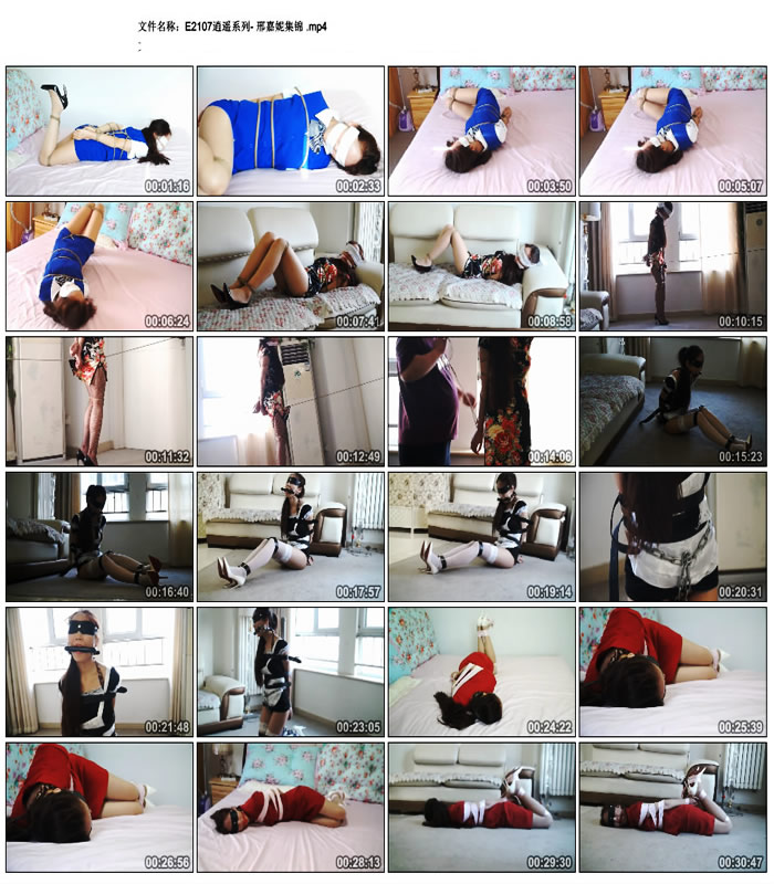 ��ңϵ��- �ϼ��ݼ���