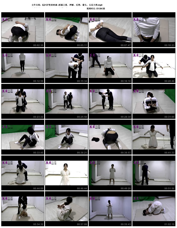 ����ӳ�� -ץ�����ģ�Ѻ�⣬��������ͷ���廨���