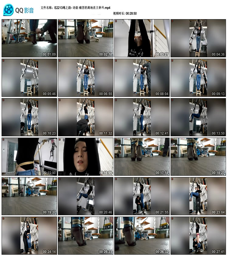 ��֮��- ʫ�� ʹ������ֱ������