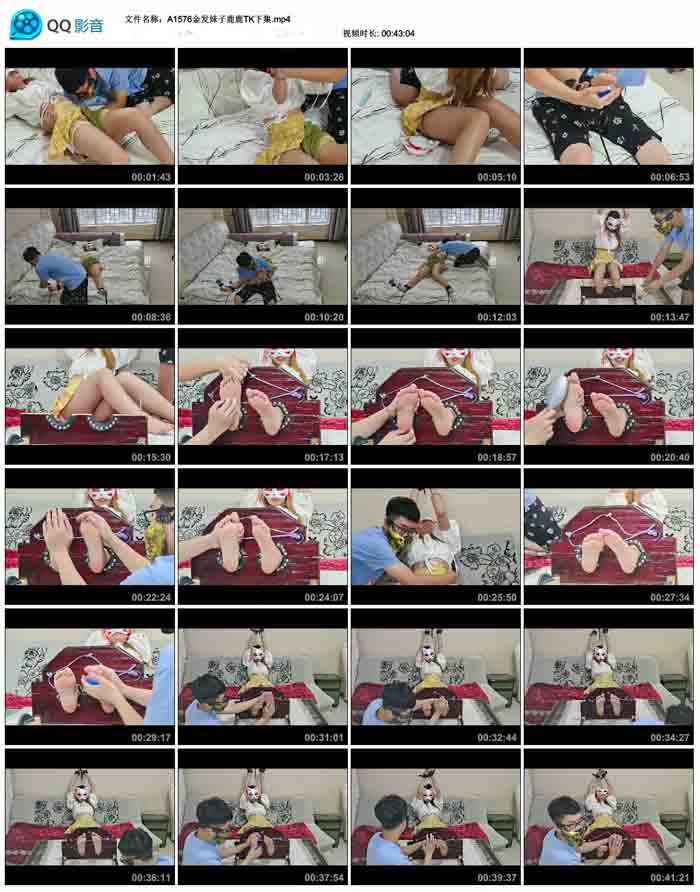 ������¹¹TK�¼�