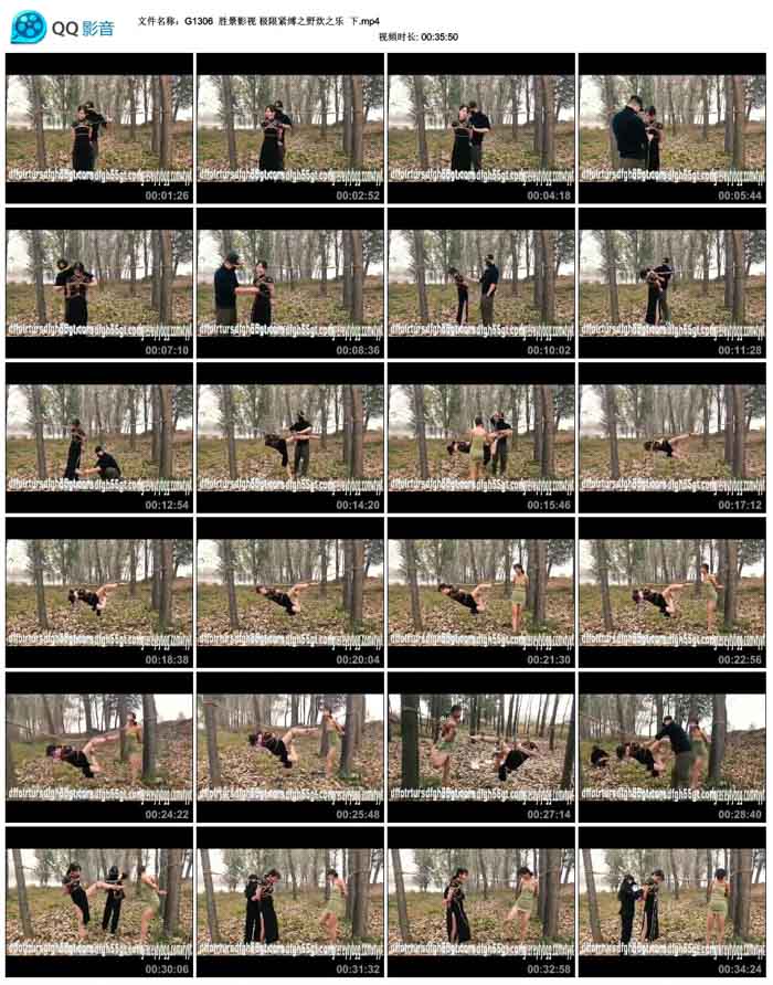  ʤ��Ӱ�� ���޽���֮Ұ��֮��  ��