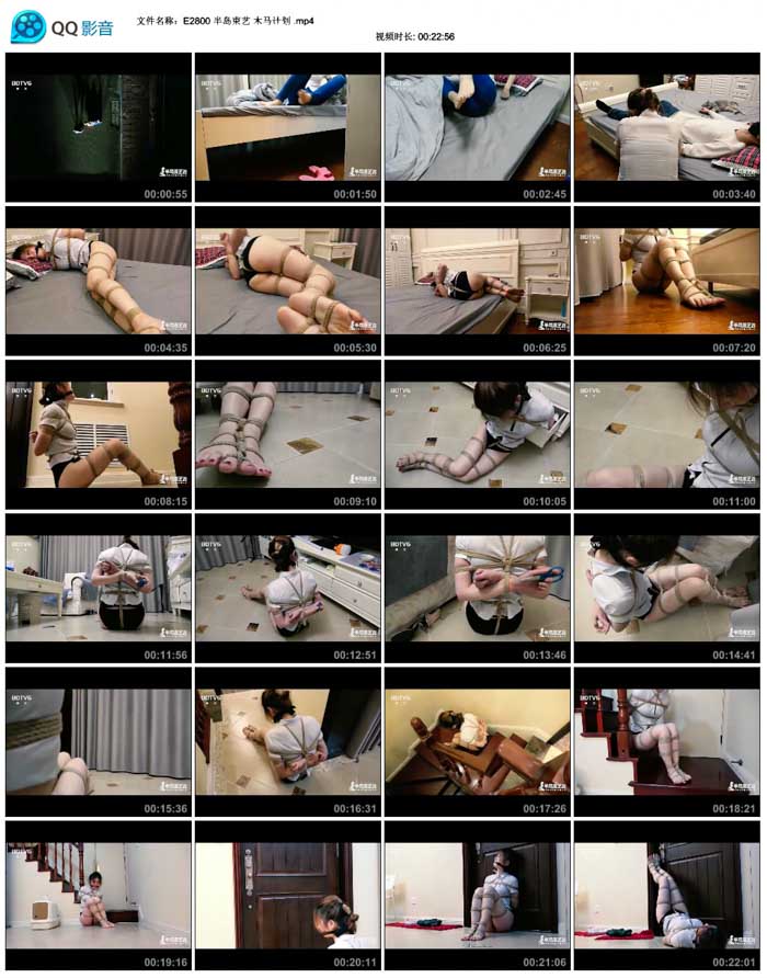  �뵺���� ľ���ƻ�