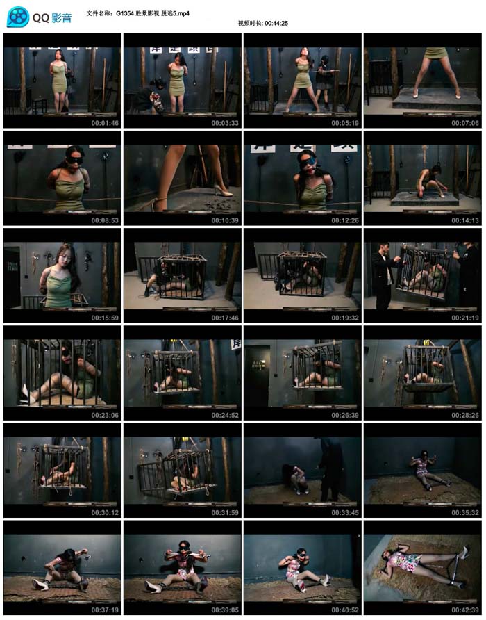  ʤ��Ӱ�� ����5