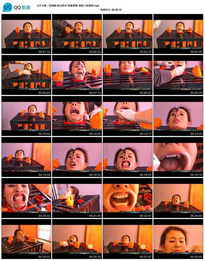  ·��ԭ�� ���Ͻ��� ǿ�ƿ�ǻ��̽