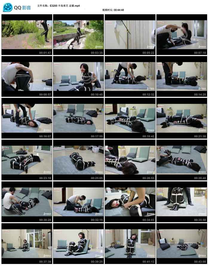  �뵺���� ֤��