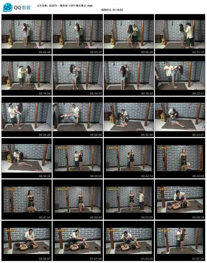 һ������ С��ţ����չʾ