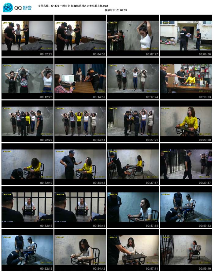 һ������ ��֩��ϵ��֮���������ϼ�