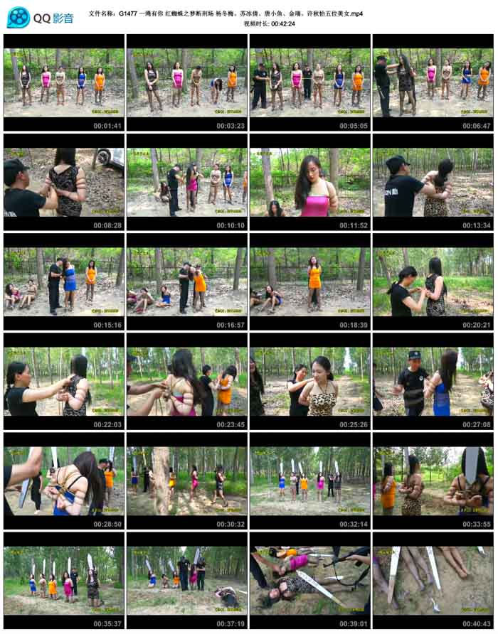  һ������ ��֩��֮�ζ��̳� �÷���ձ�ٻ����С�㡢������