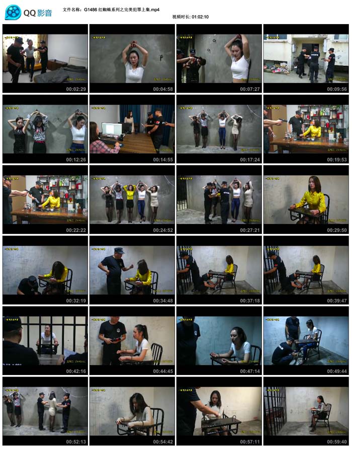  ��֩��ϵ��֮���������ϼ�