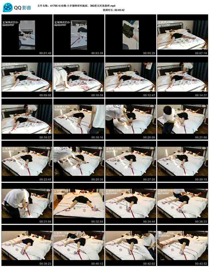 ������-�����������̵�����360������������