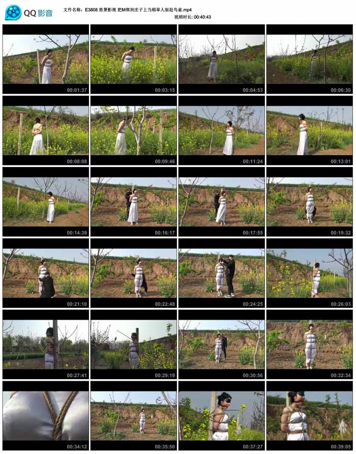 ʤ��Ӱ�� ��M��ׯ���ϵ�������������ȸ