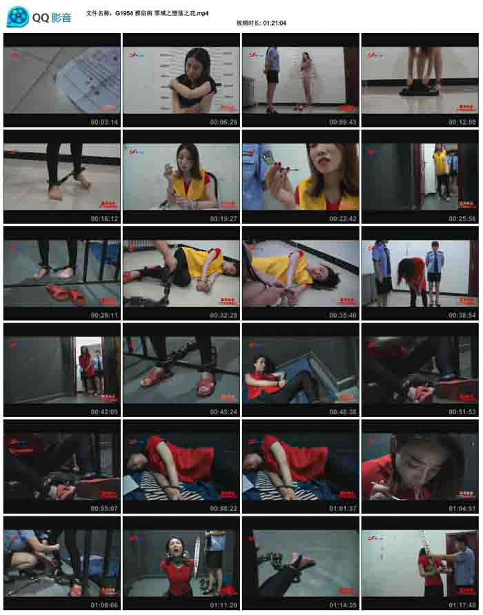 ���׸� ����֮����֮��