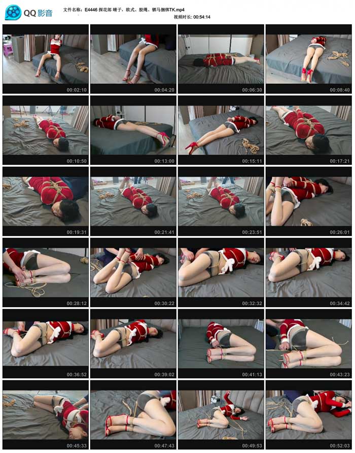 ̽���� ���ӣ�ŷʽ����������������TK