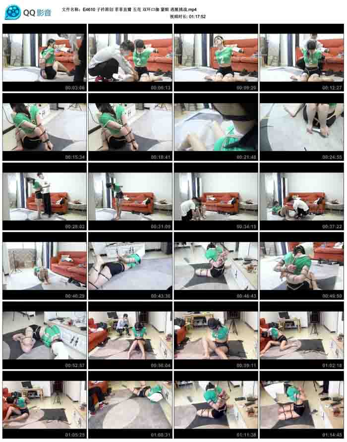  ����ԭ�� �Ʒ�ֱ�� �廨 ˫���ڼ� ���� ������ս