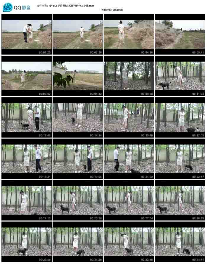 ����ԭ�� ץ�������ع�С��