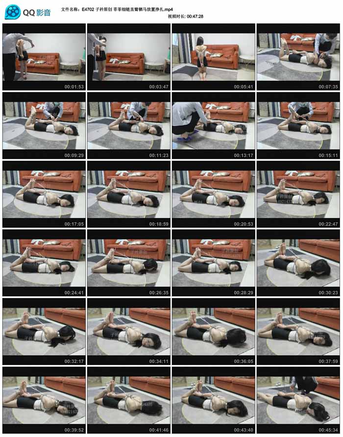  ����ԭ�� �Ʒ�ϸ��ֱ��������������