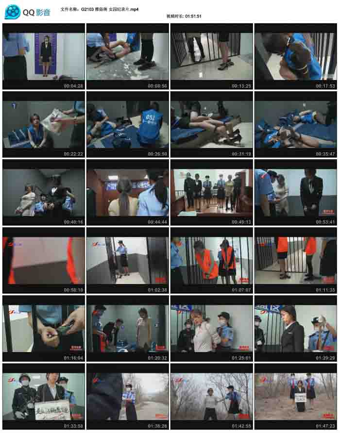  ���׸� Ů����¼Ƭ