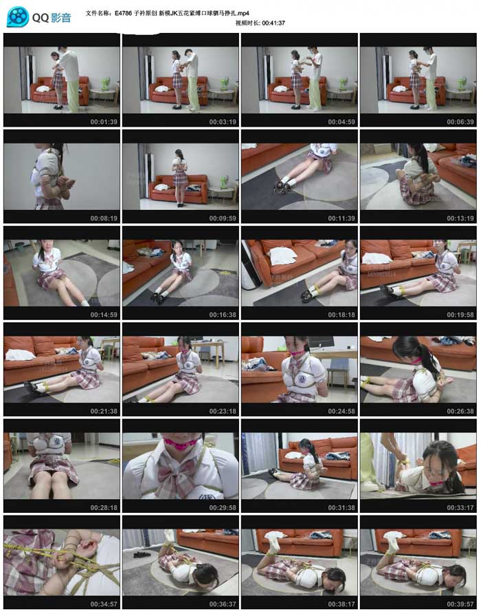  ����ԭ�� ��ģJK�廨����������������