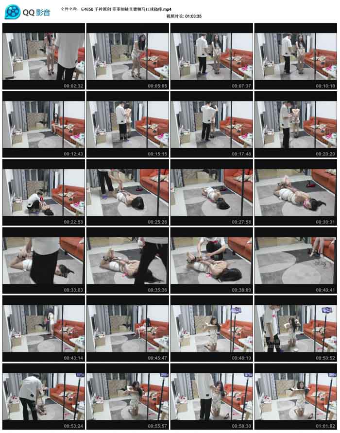 ����ԭ�� �Ʒ�ϸ��ֱ��������������