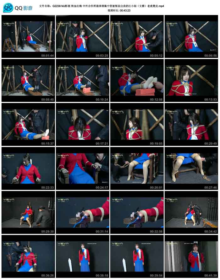 MJӰ�� ��Ѫ��÷ ������������Ҷ�����Ӫ����ͽ�����Ľ�С�㣨��