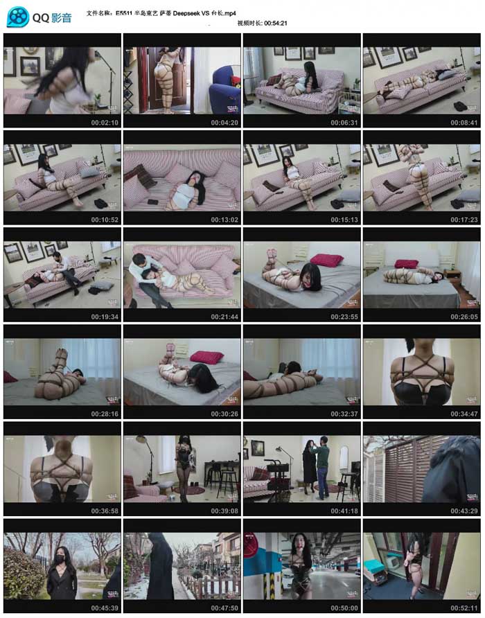  �뵺���� ���� Deepseek VS ̨��