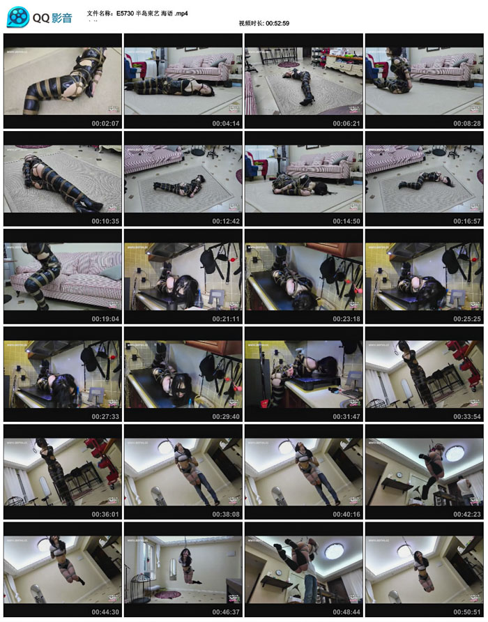  �뵺���� ����