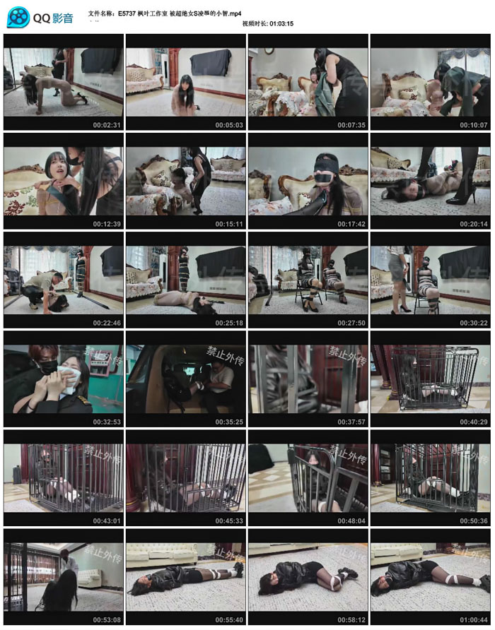  ��Ҷ������ ������ŮS�����С��